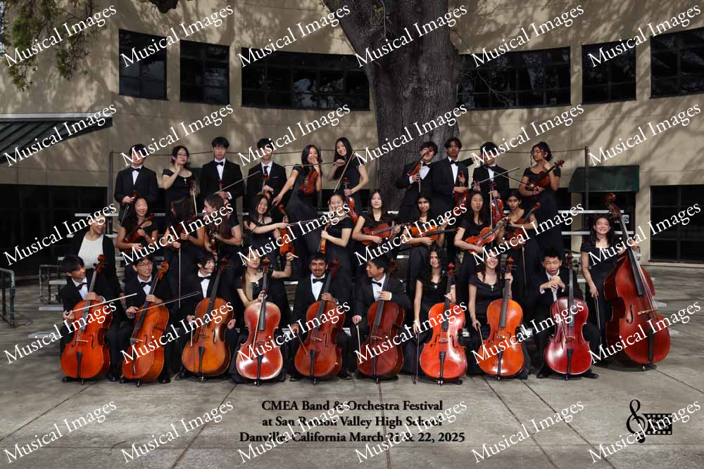 Musical Images
